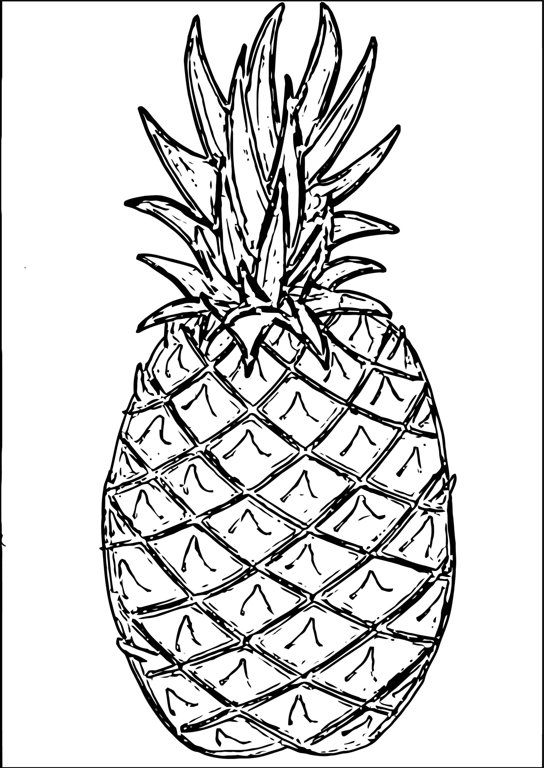 Giant pineapple coloring book